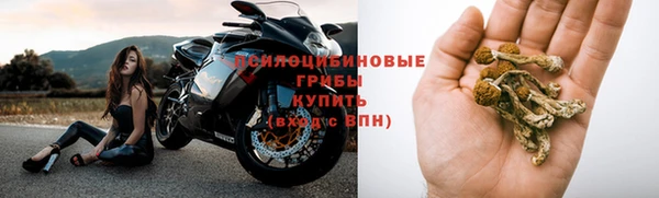эйфоретик Алексеевка