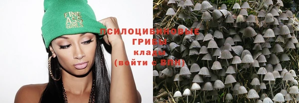 эйфоретик Алексеевка