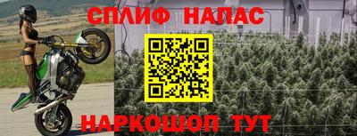 амф Обнинск