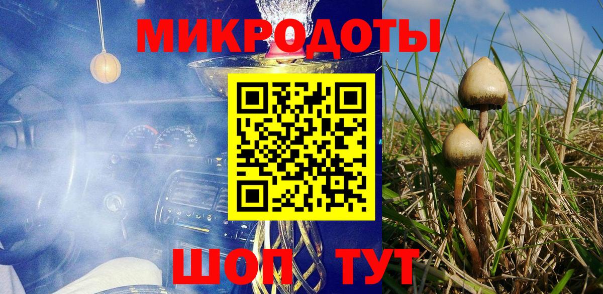 Псилоцибиновые грибы Cubensis  Вход с VPN  Старый Оскол 