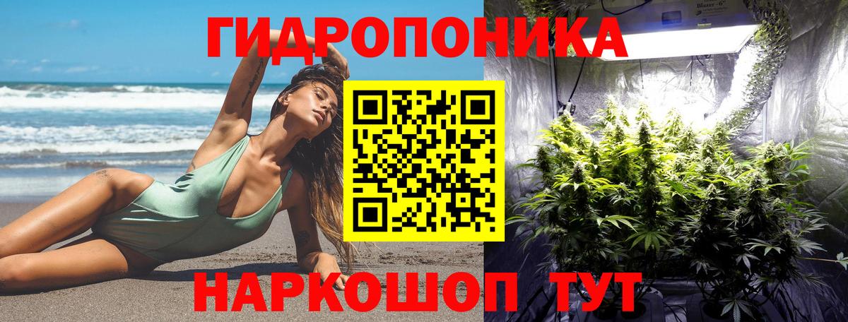 Шишки марихуана SATIVA & INDICA  Вход с VPN  Бошки марихуана Amnesia  Старый Оскол  Марихуана ГИДРОПОН 